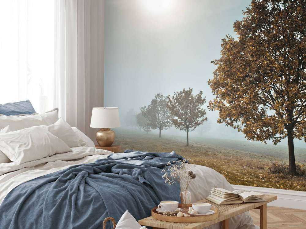 Trees in the mist