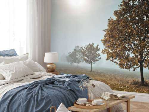 Trees in the mist