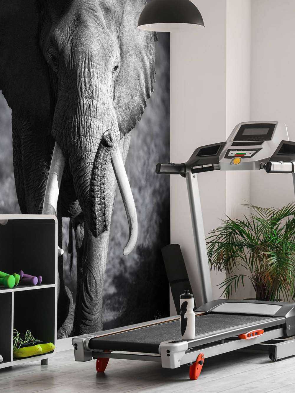 Afrikansk elefant
