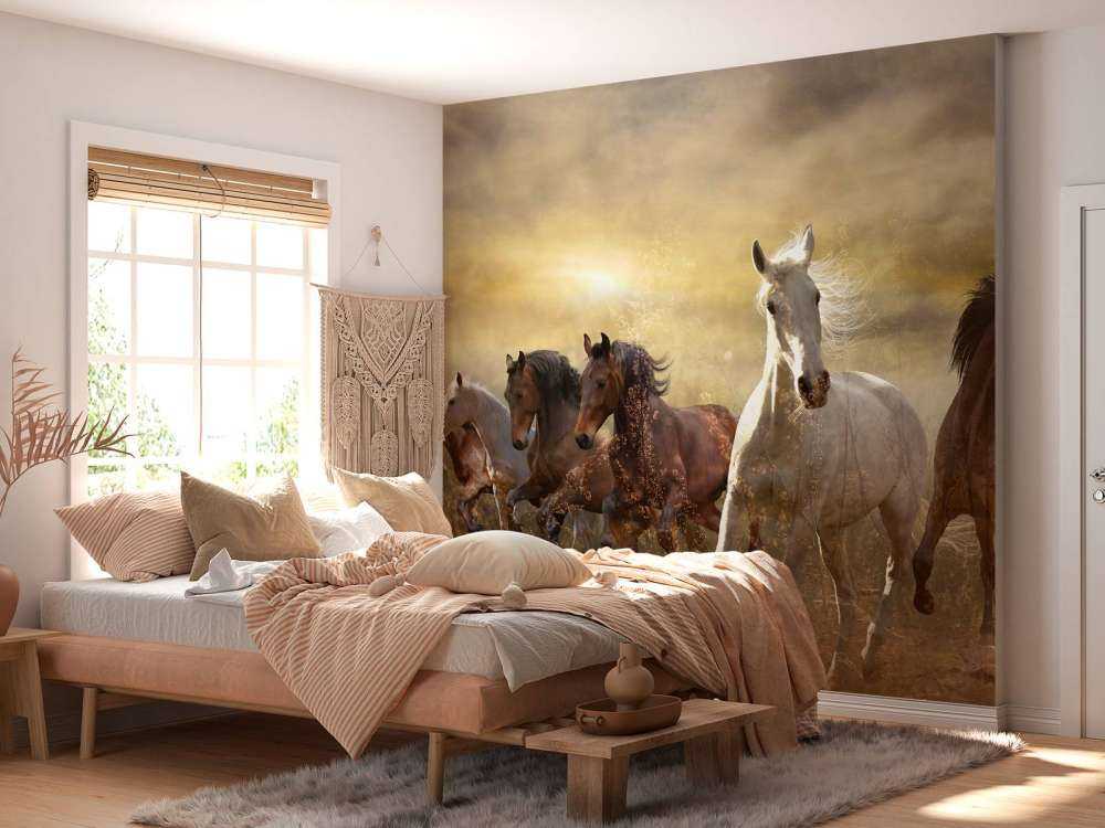 Galopperende heste ved solnedgang