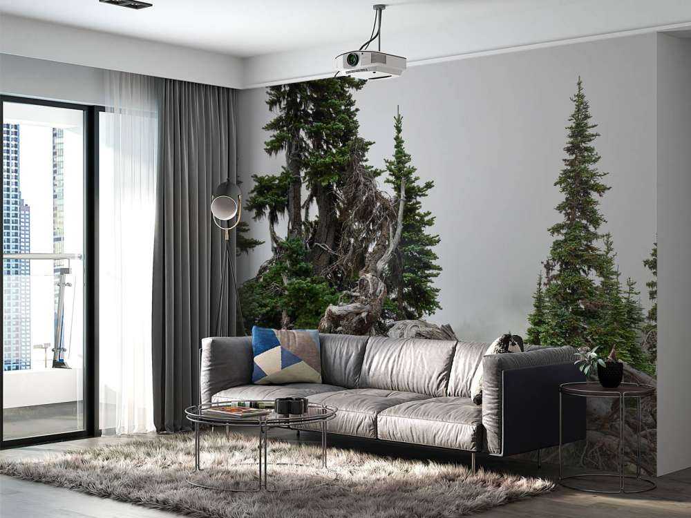 Träd och gamla träd