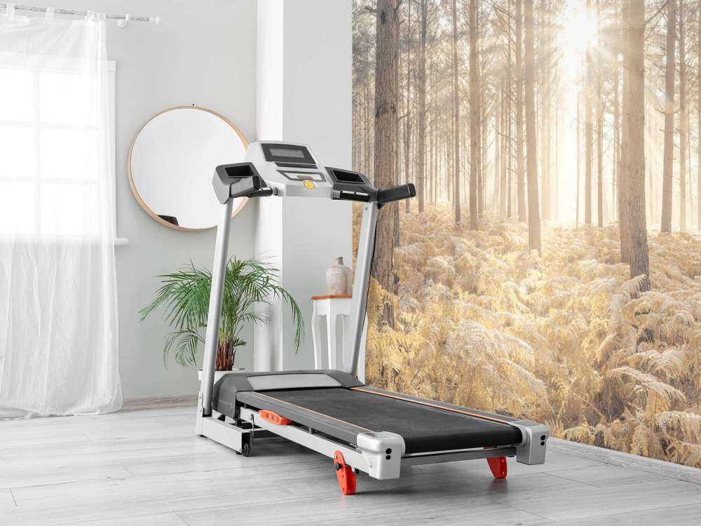 Solstrålar i den kalla skogen