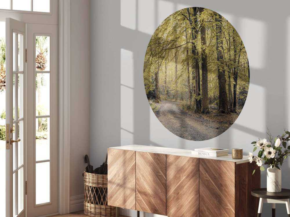 Väg genom den gröna skogen