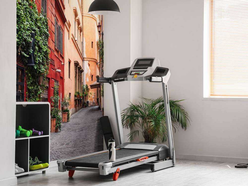 Gammal medeltida gata