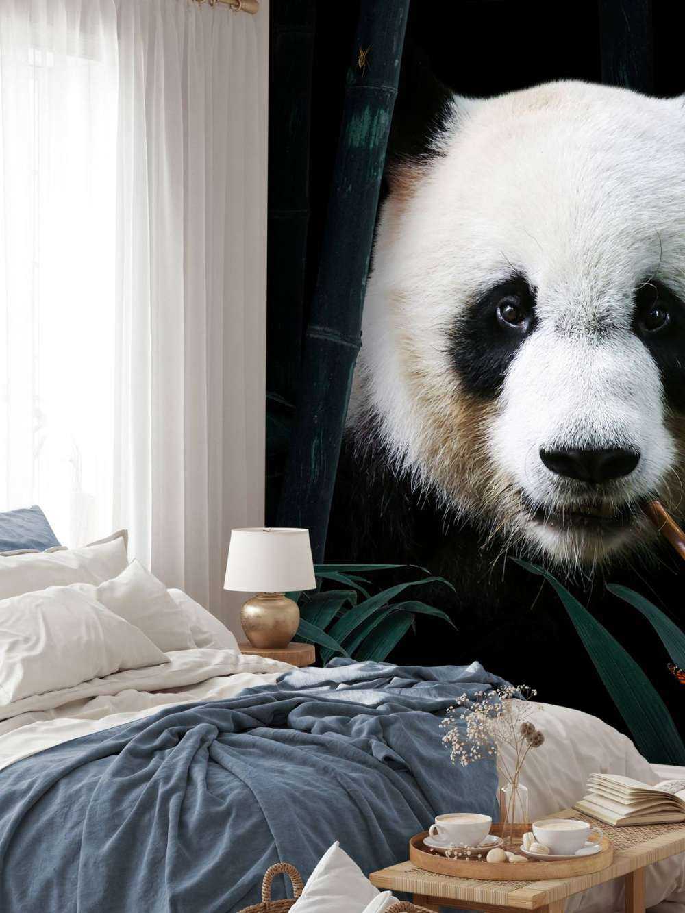 Panda Porträtt