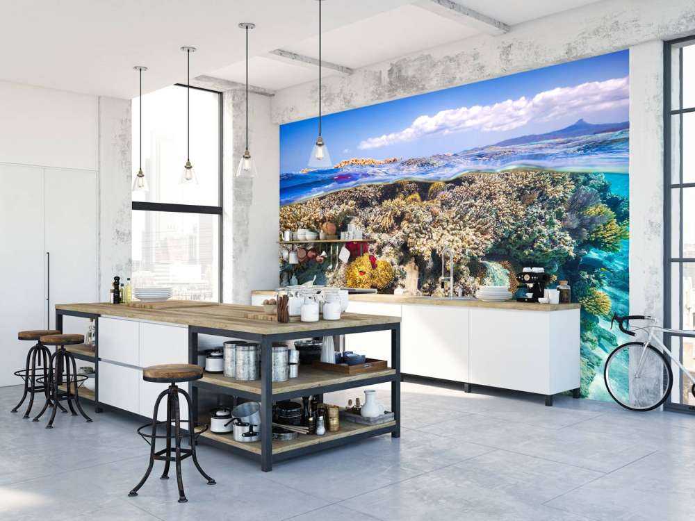 Mayotte : The Reef