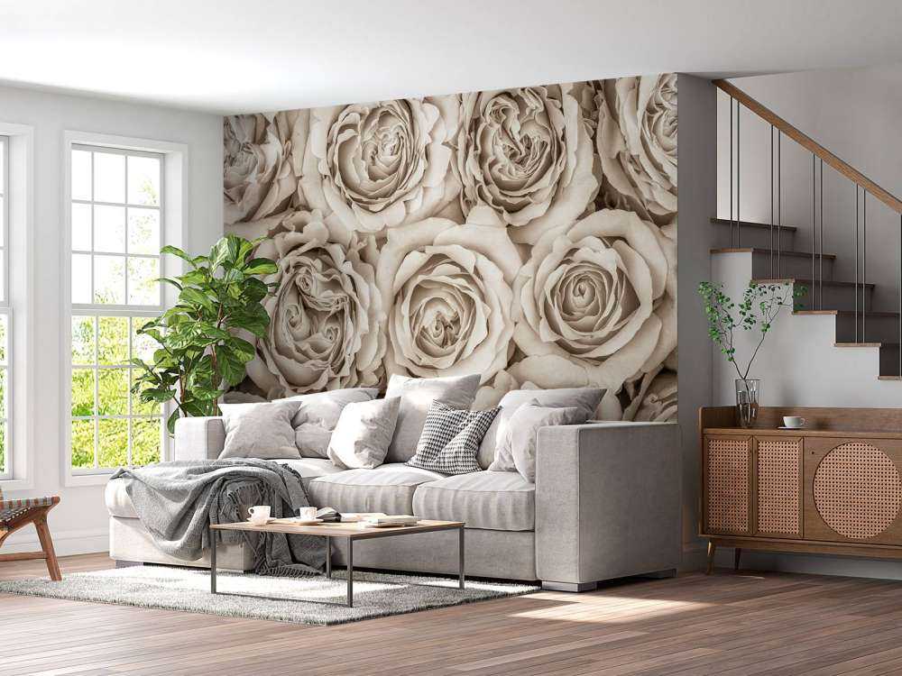 Bakgrund för rosor
