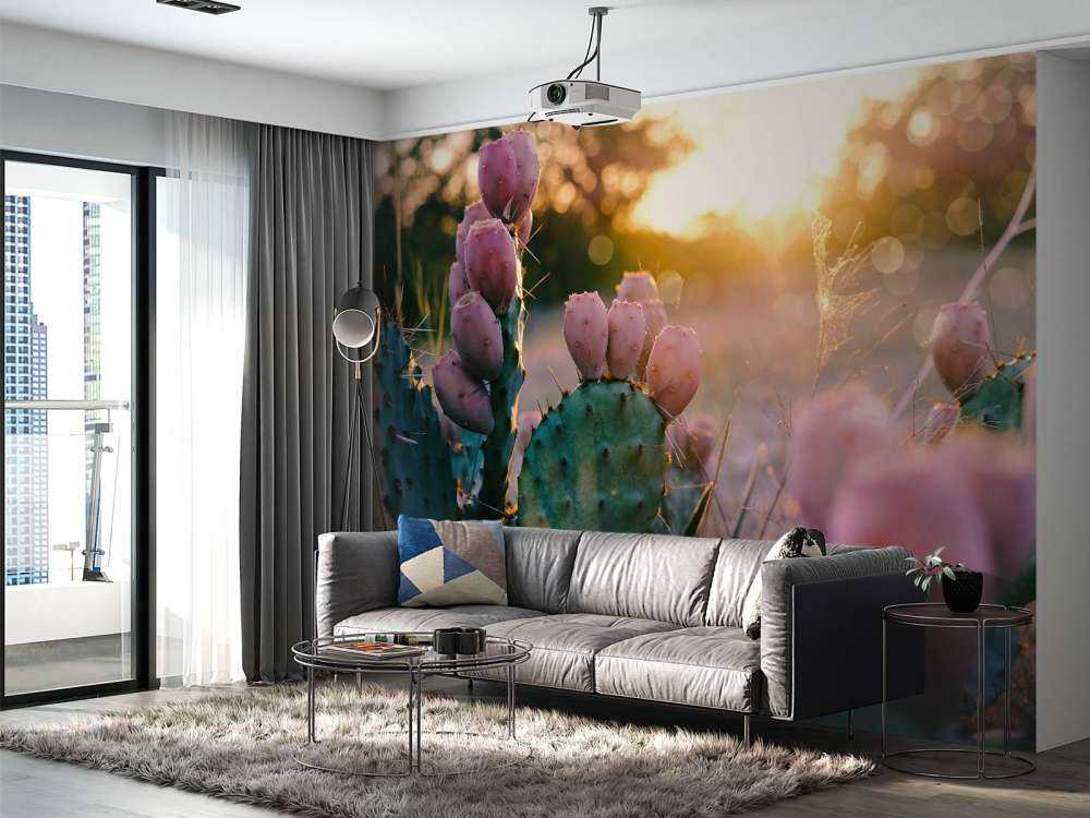 Kaktus med blommor