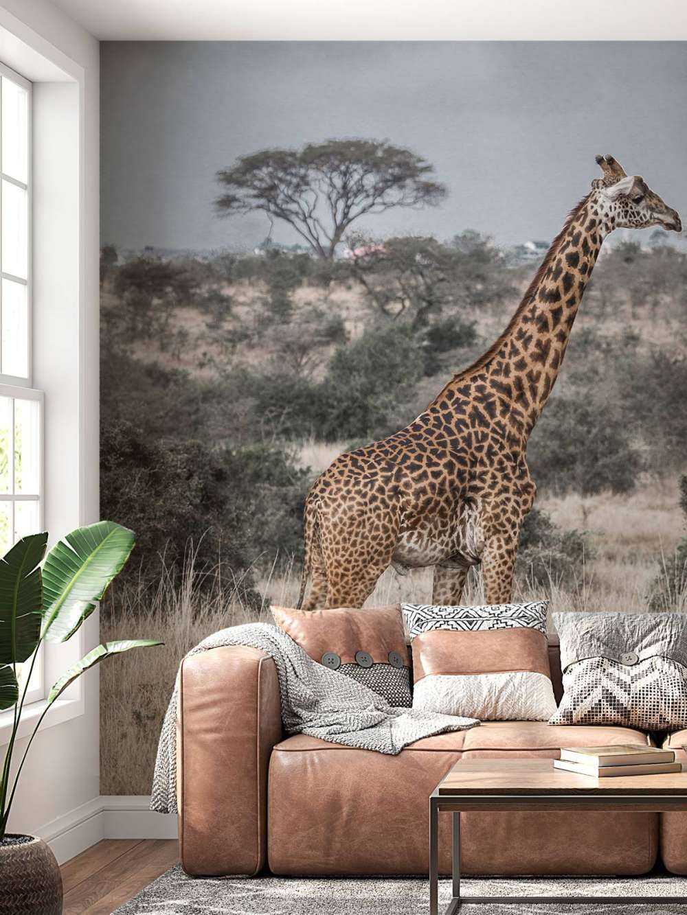 Giraff porträtt