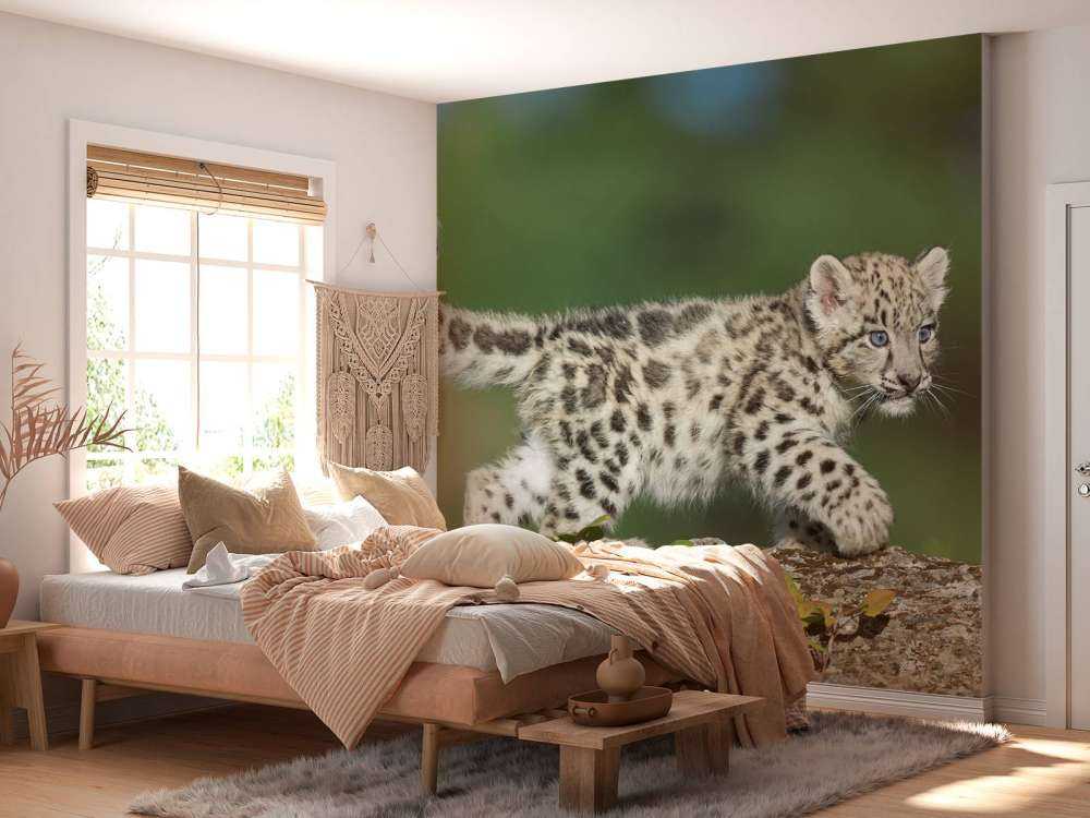 Snöleopardunge