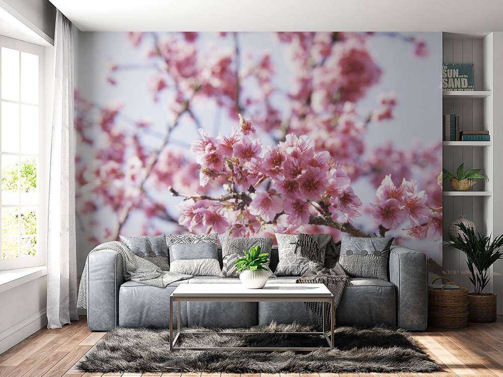 Närbildrosa blomning