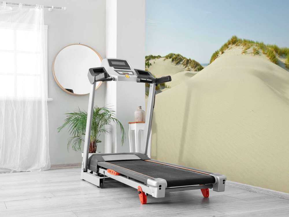 sanddyner på skogen