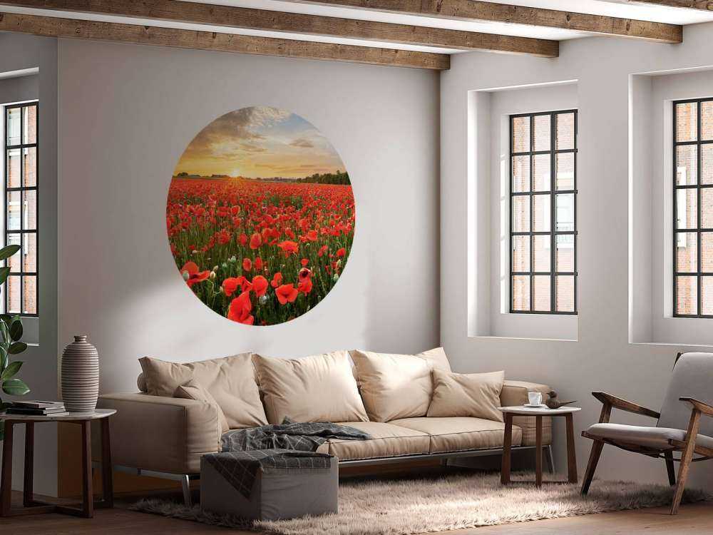 Solnedgång med vallmo