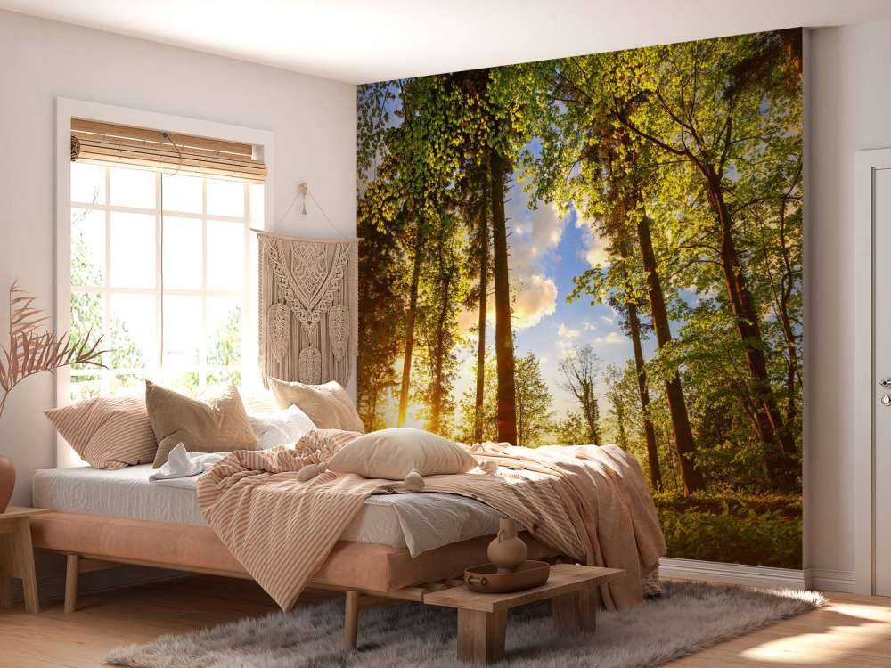 Solnedgång genom träden