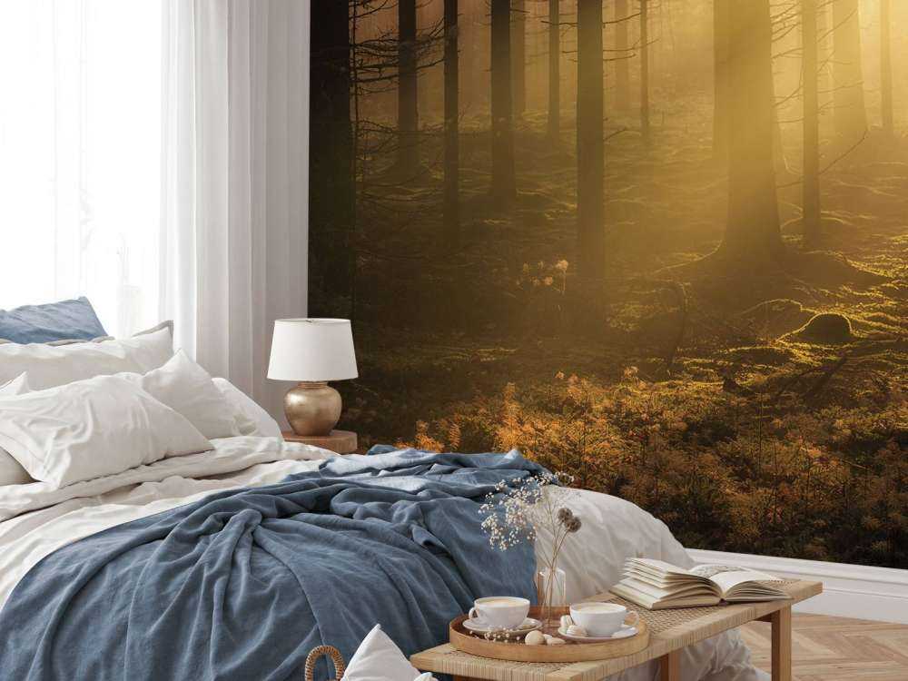 Mörk höstskog