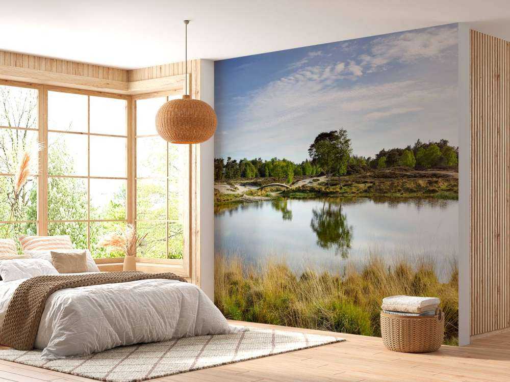 En liten skogsjö i hedområdet