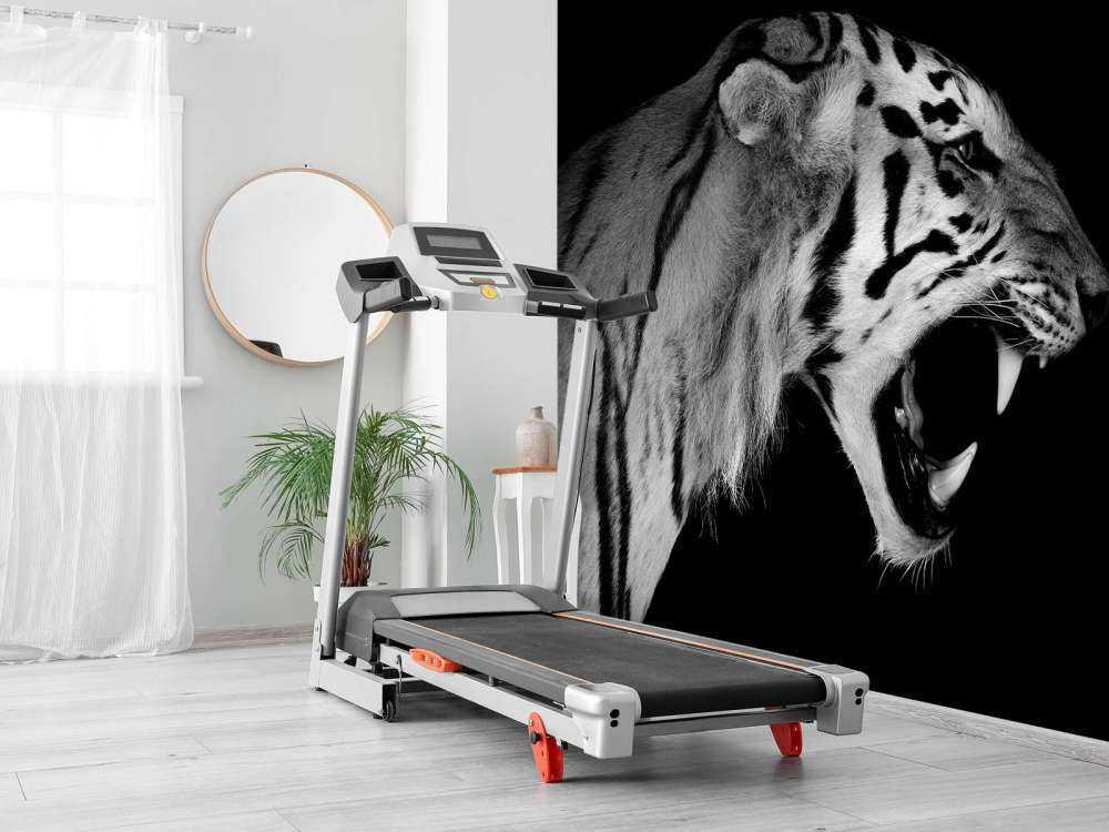 Vrålande tiger svart