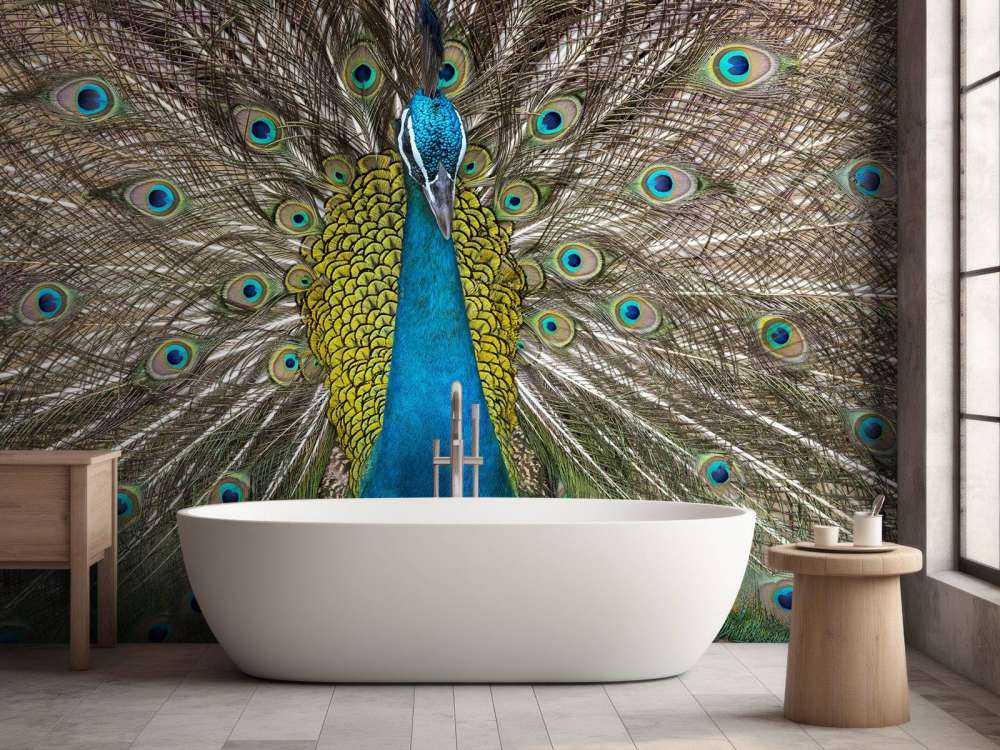 Påfågel med fyllda fjädrar