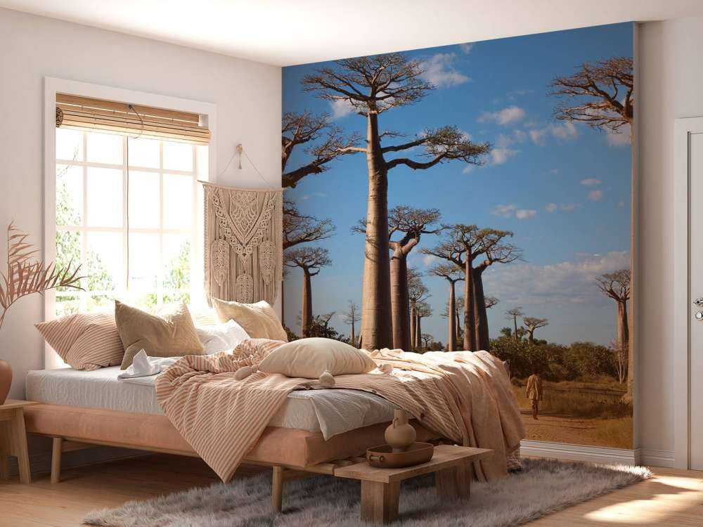 Baobab träd