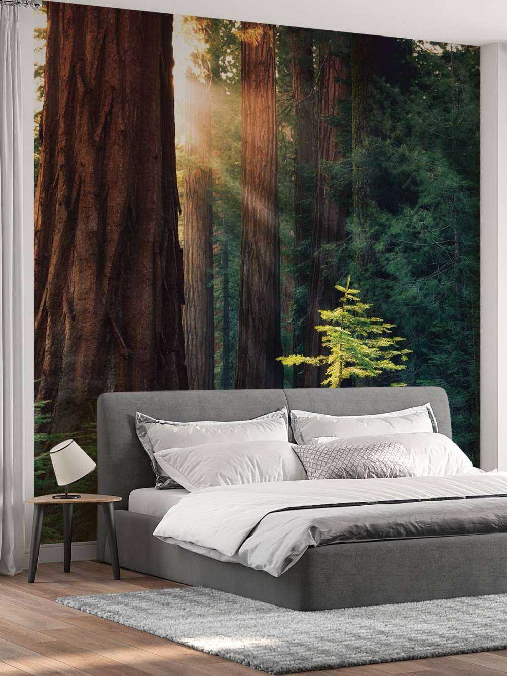 Solljus mellan mahognyträden