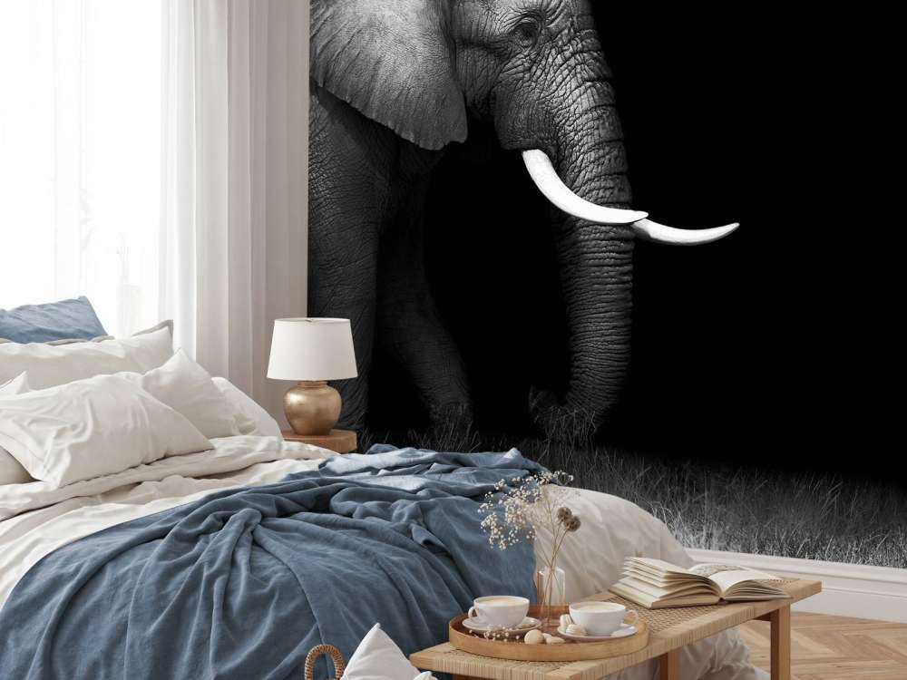 Elefant på gräs