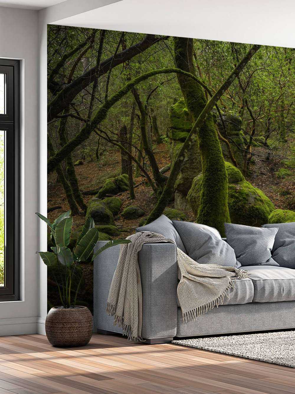 Träd och mossstenar