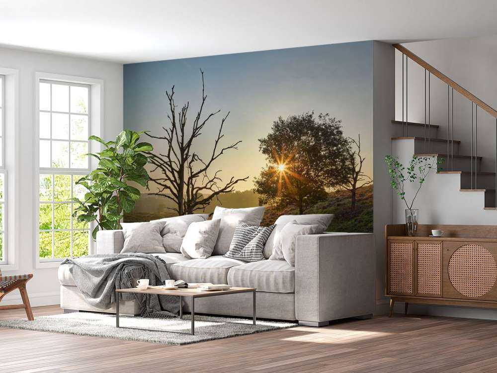 Oppgående sol på heia