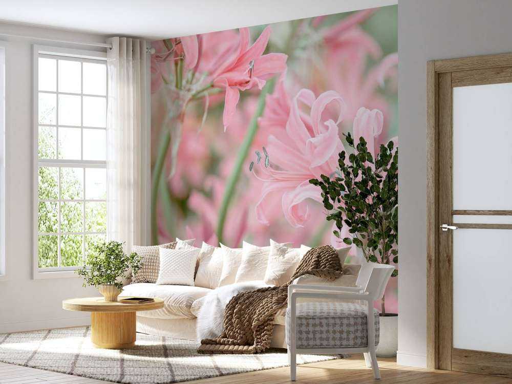 Nerine Blomster