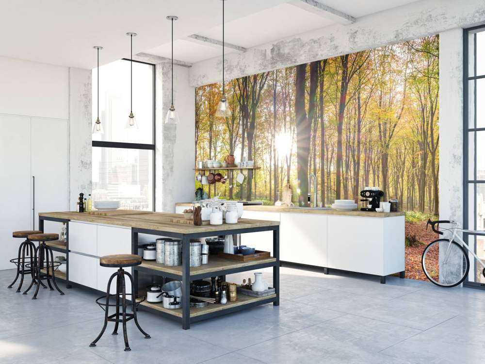 Sollys gjennom høstskogen