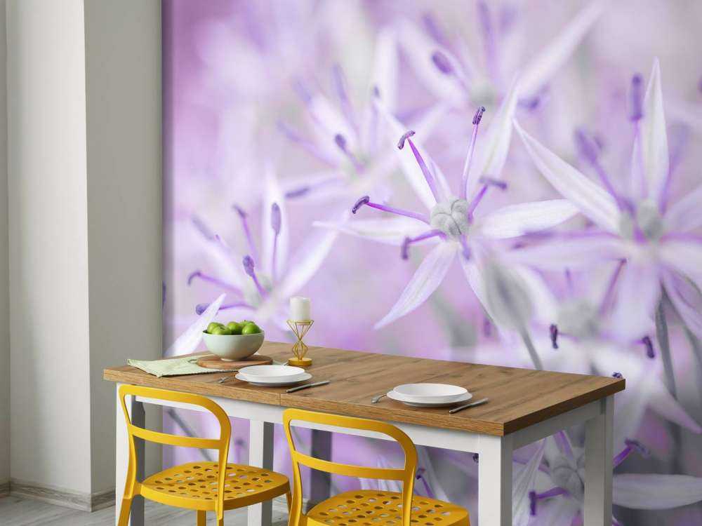 Nærbilde allium blomster