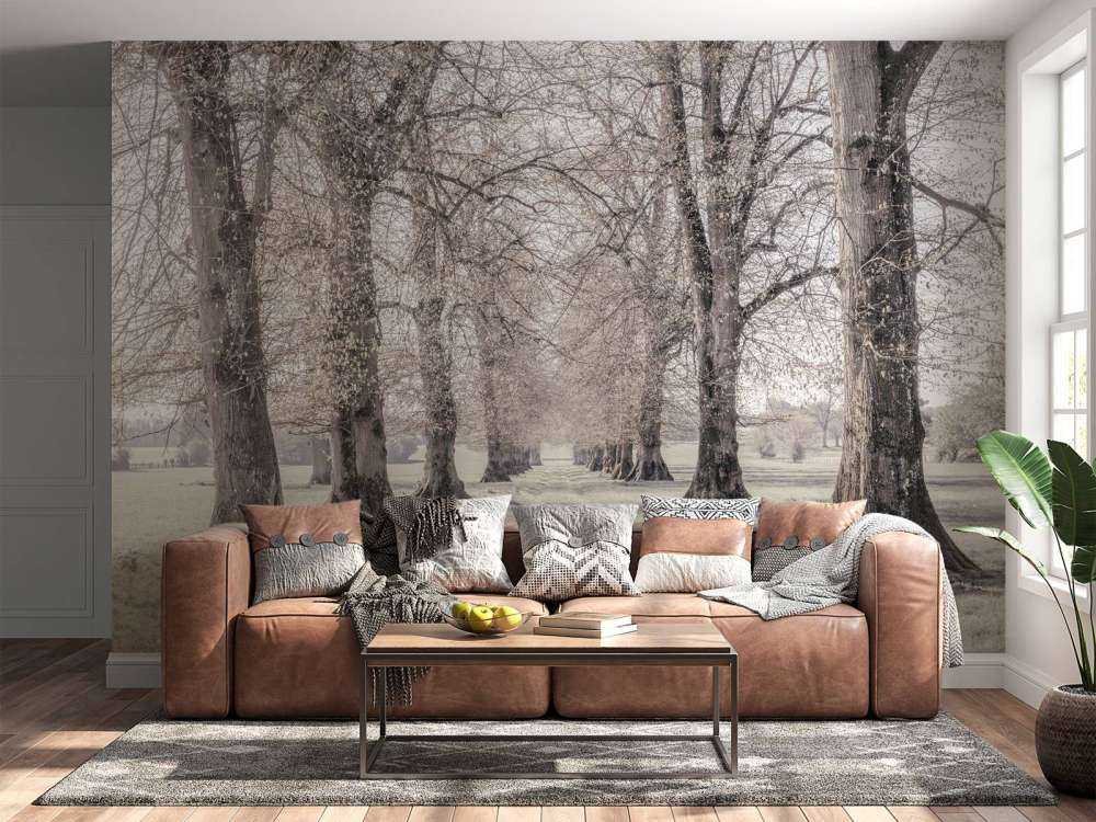 Dekkspor mellom trærne