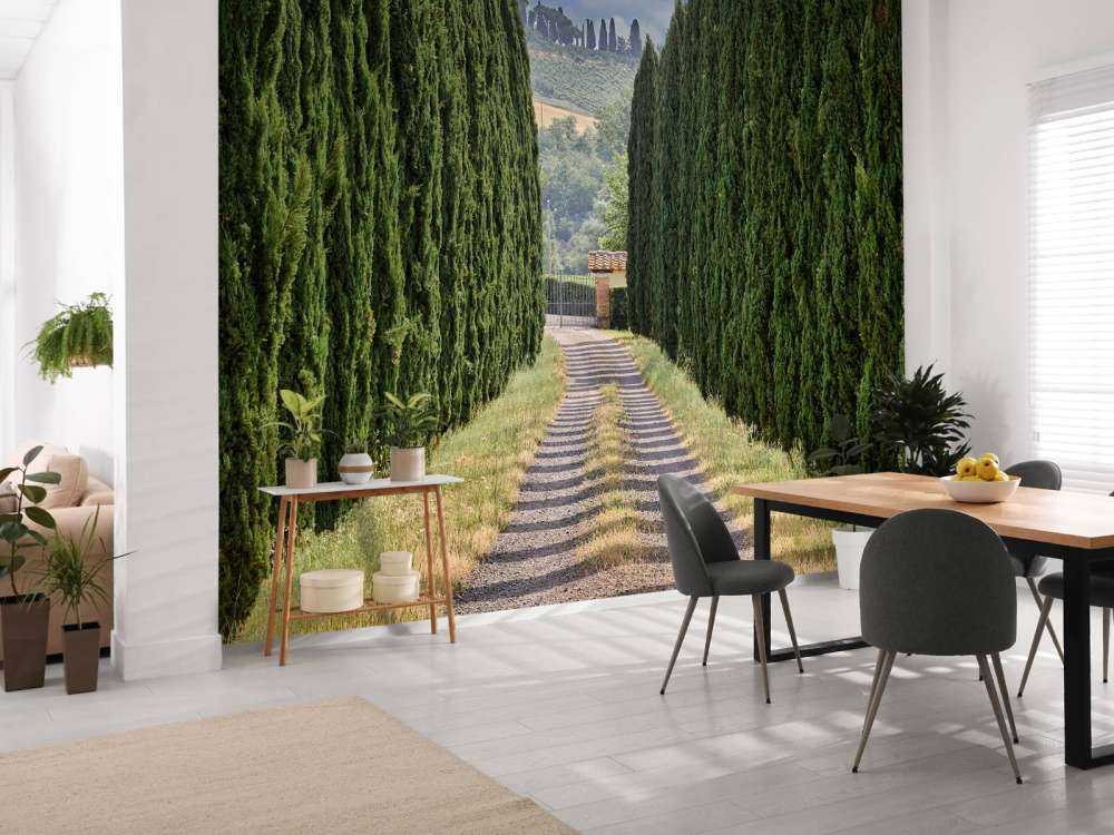 Avenue med sypresser