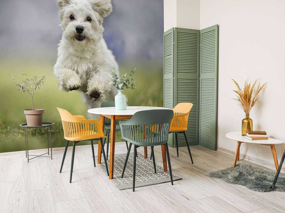 Løpshund