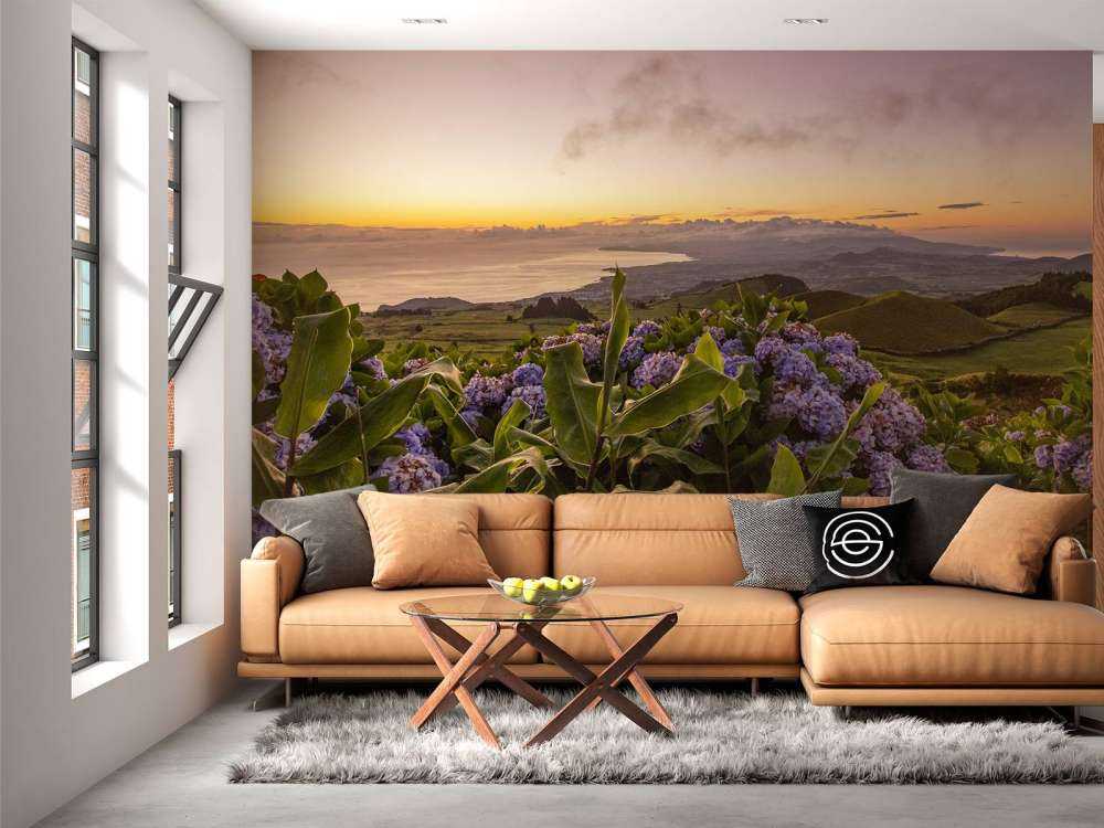 Solnedgang med hortensia