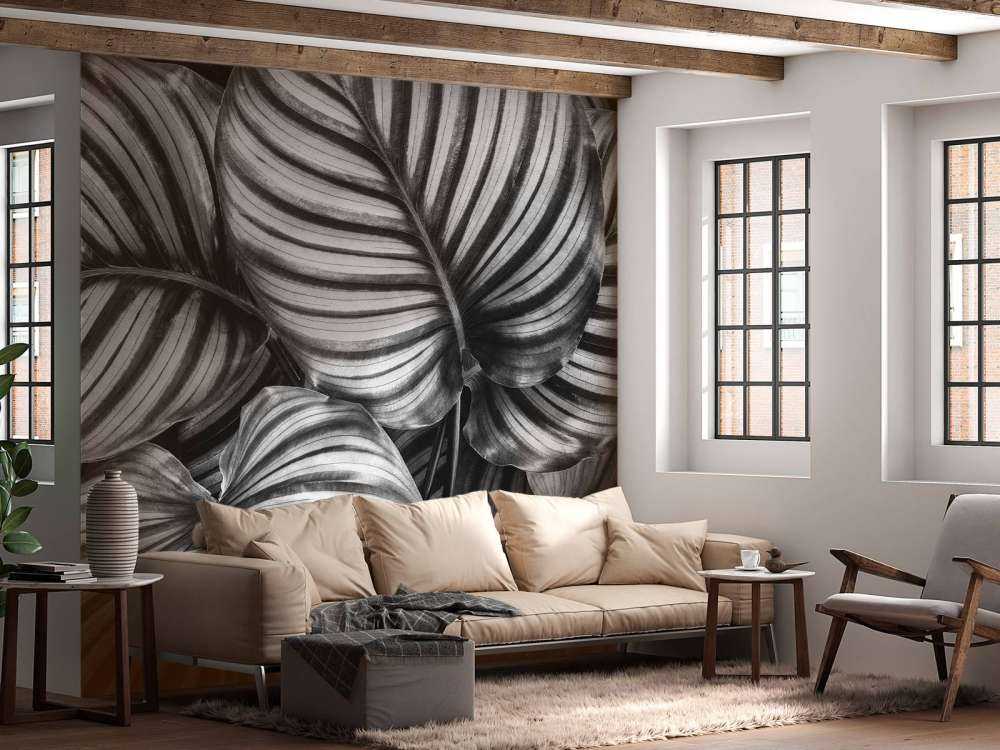 Plante med stripete blader