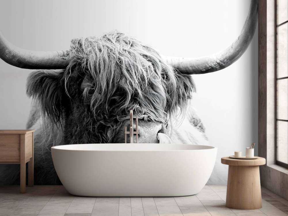 Morsomme skotske høyland