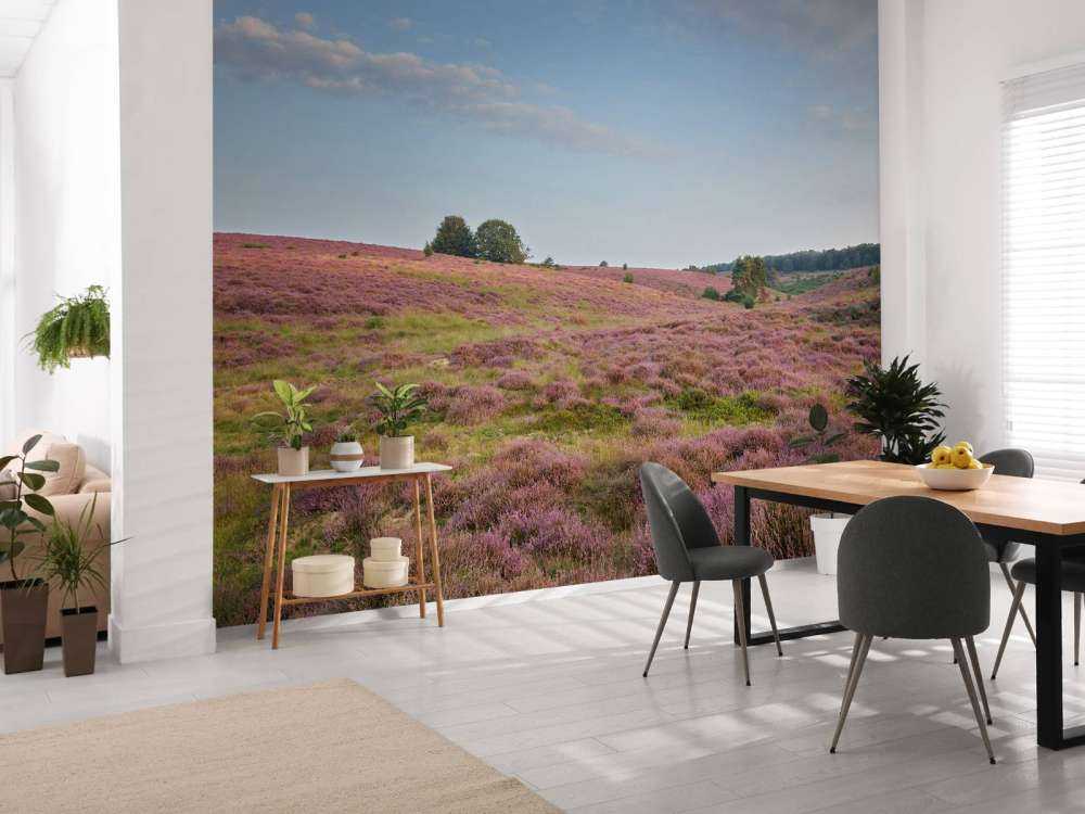Blomstrende lyng