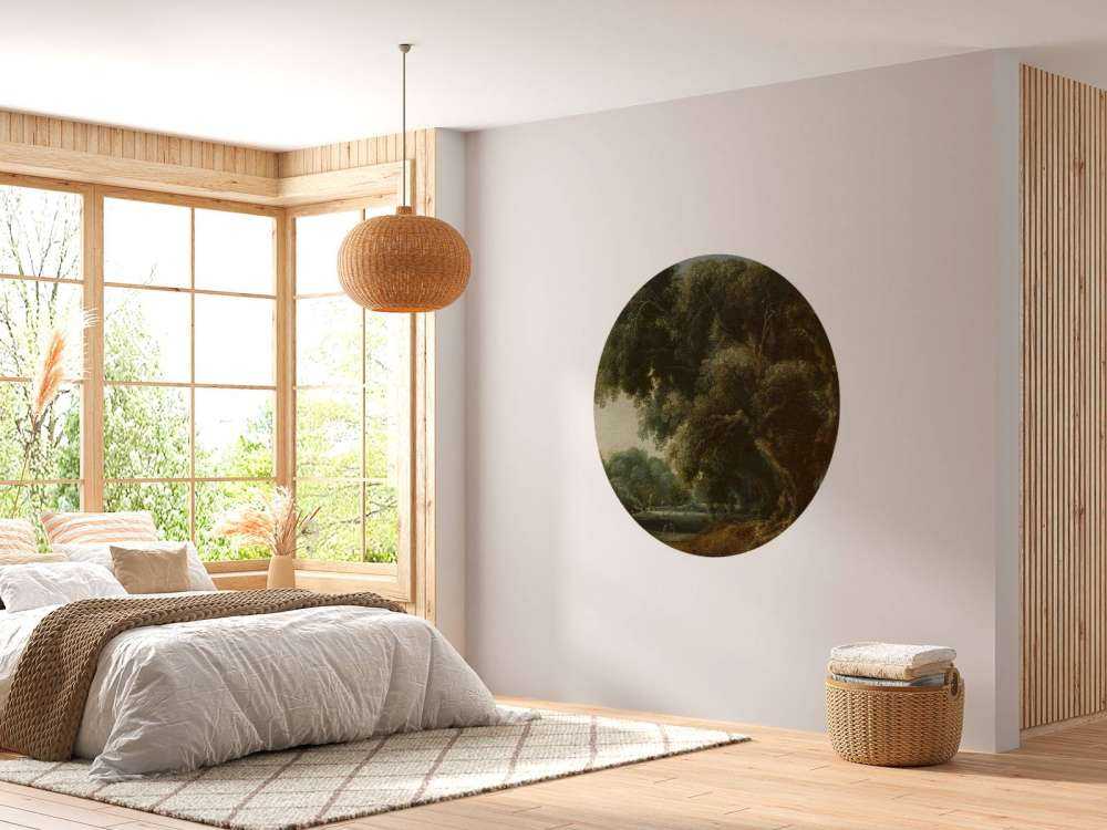 avskoget skoglandskapp