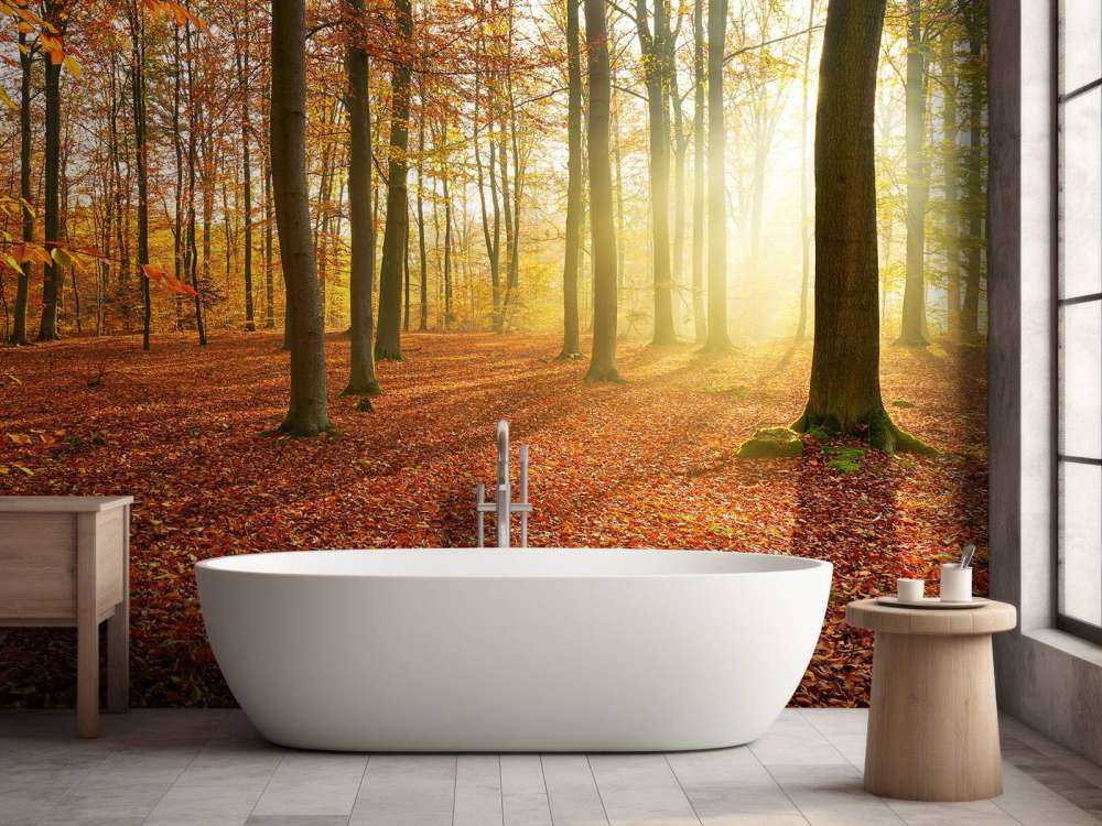 Høstmorgen i skogen