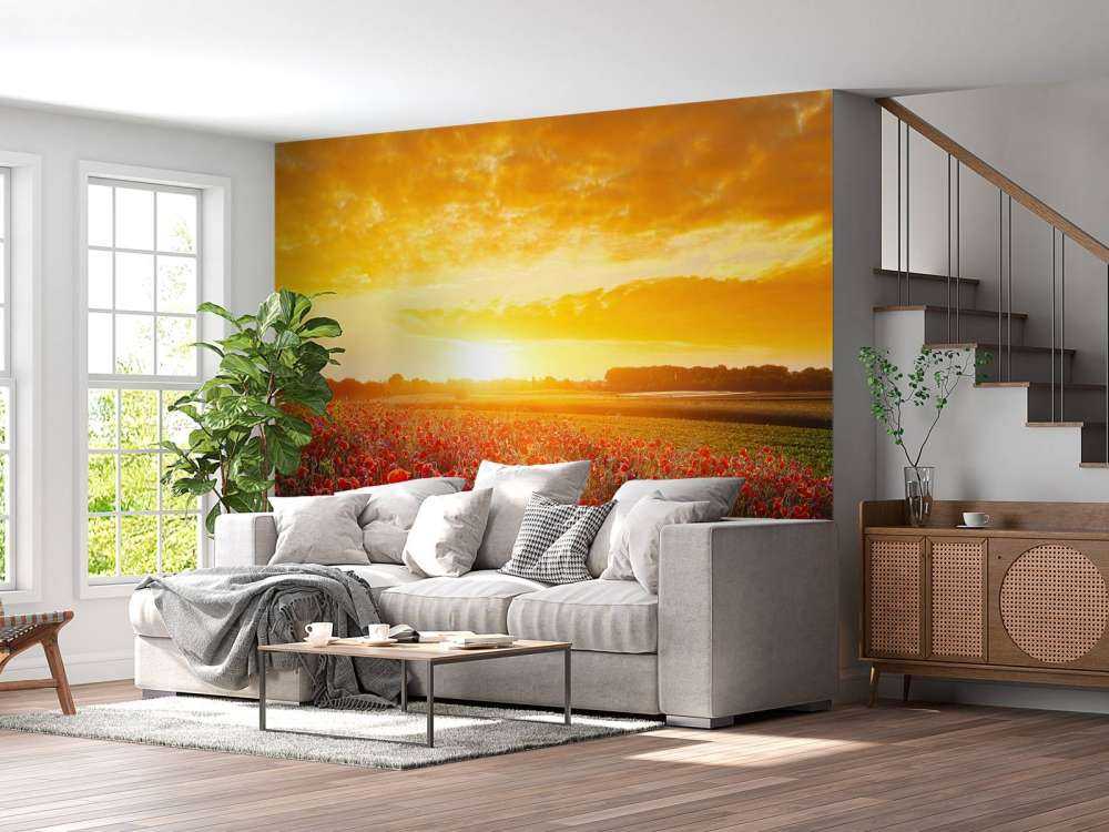 Valmuer og solnedgang