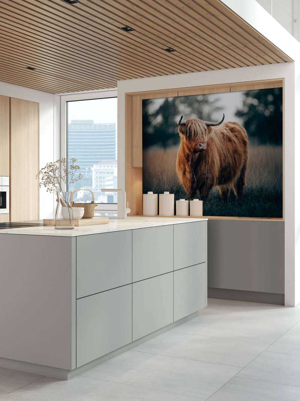 Portrett av høylandsfe