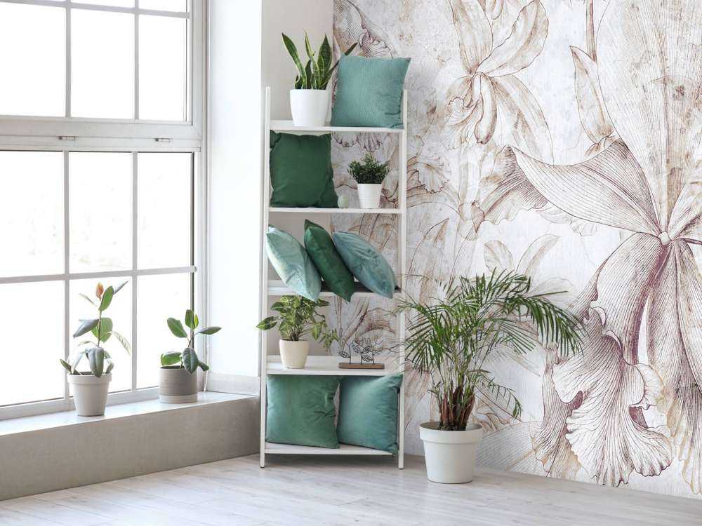 Orchids Contour 9