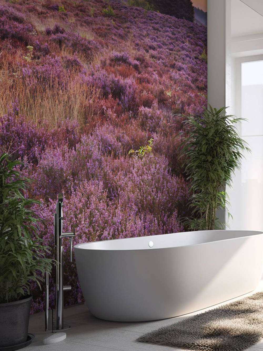 solnedgang i Posbank