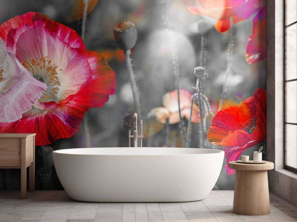 Valmuer i svart, hvitt, rødt