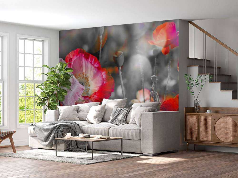 Valmuer i svart, hvitt, rødt