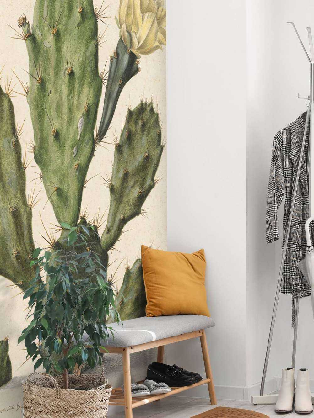 Blomstrende fikenkaktus