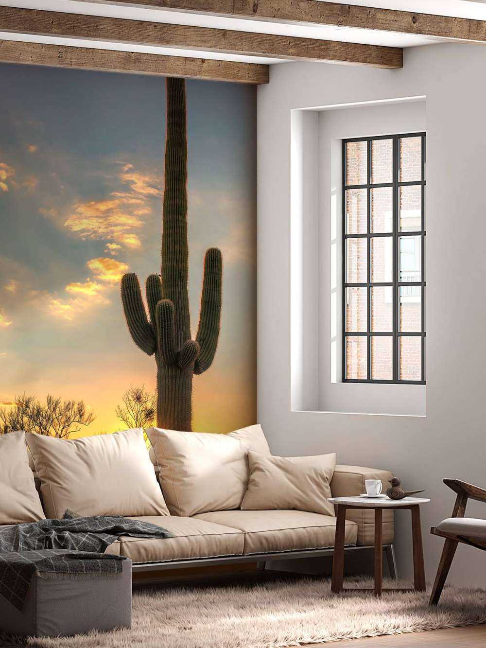 Kaktus vid solnedgången