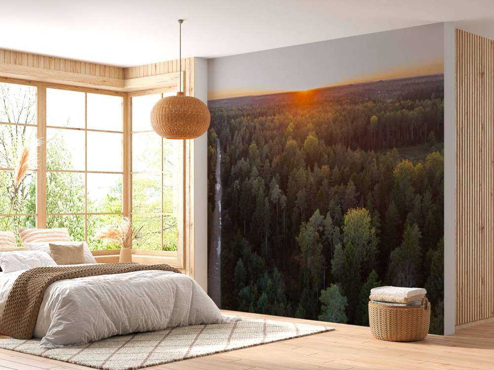 Flygfoto av höstträd