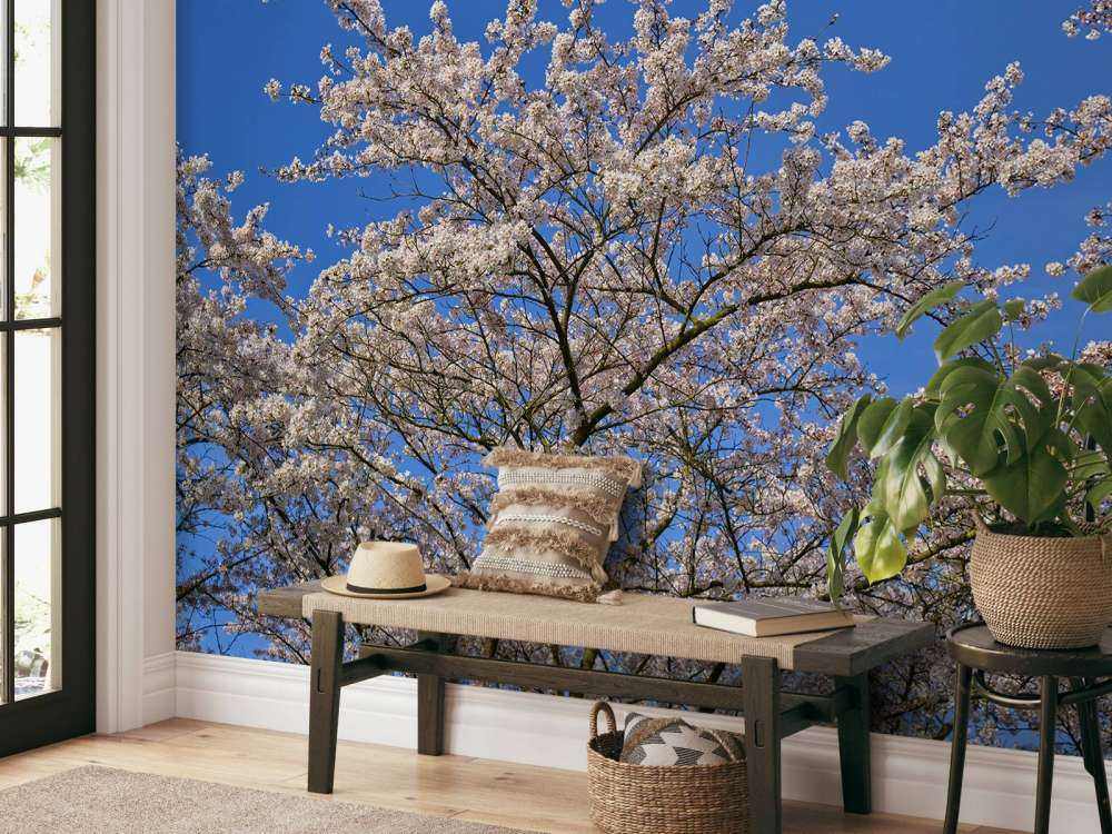 Blomning med blå himmel