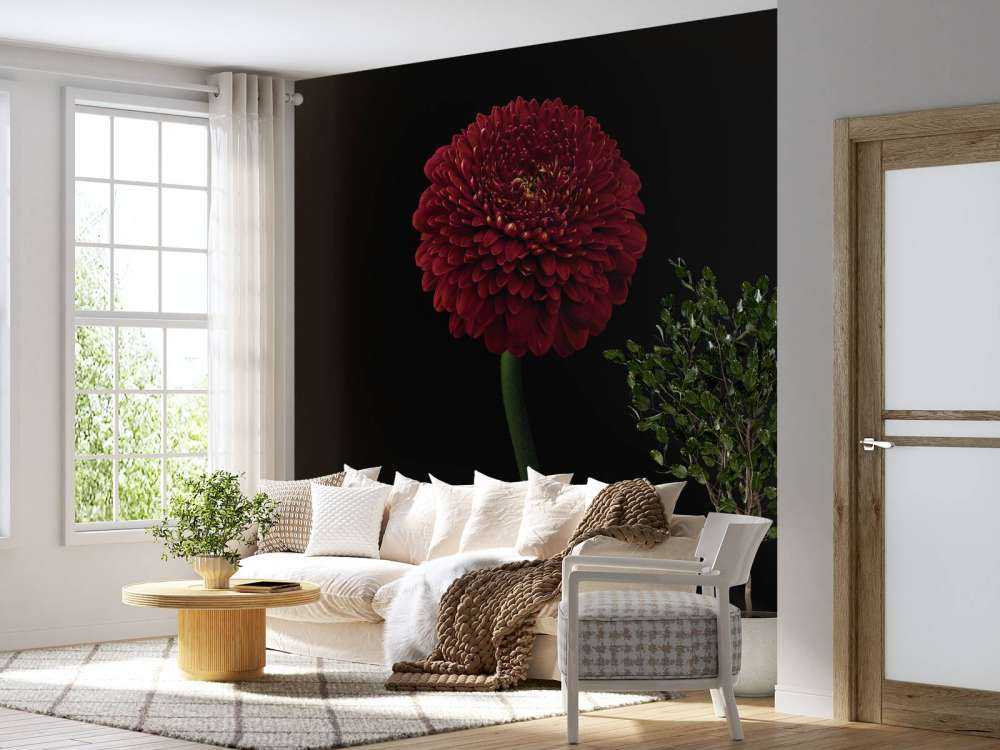 Röd blomma på stammen